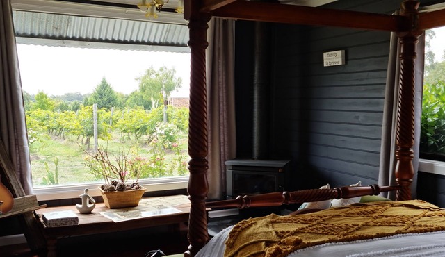 Cottage amongst the vines.