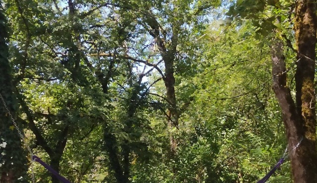 Cottage and its trailer in a cocoon of greenery (see the video)