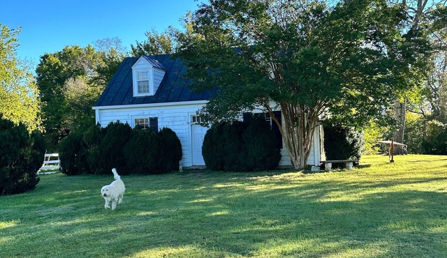 Cottage and working farm in heart of Virginia wine country near UVA & Woodberry