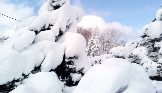 Cottage at the end of the world in the Hautes Vosges