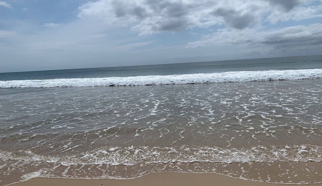 Cottage by the Sea! 400M to the Beach, Lupo’s Pizza & Restaurant Bella Bronte.