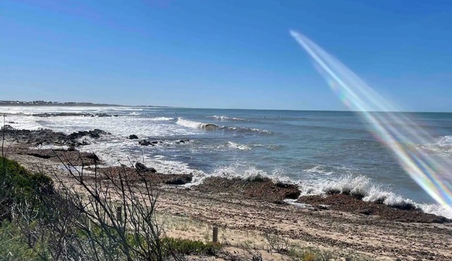 Cottage By The Sea: Surf at your 'doorstep' Pets Welcome!