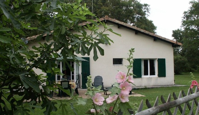 Cottage close to beaches