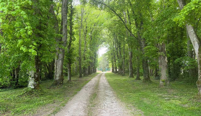 Cottage Dans un Bain de Verdure Avec Arbres Magestieux .idéal Pour les Familles