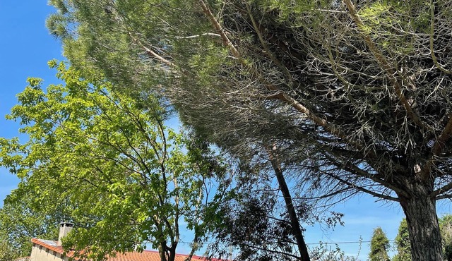 Cottage de Charme - Sleeps 8 - Park 2000 m2 - Barbecue - Pony Club - Kayak