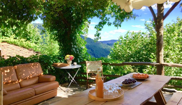 Cottage for 9/15 people - Terrace of the Boutisse