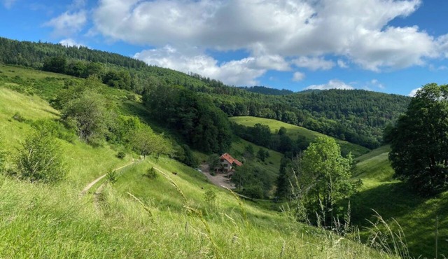 Cottage at the farm of Val de Bruinen - Sauna and Jacuzzi 15