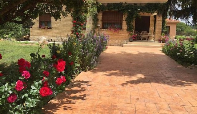 Cottage (full rental) El Quinto Pino for up to 9 people