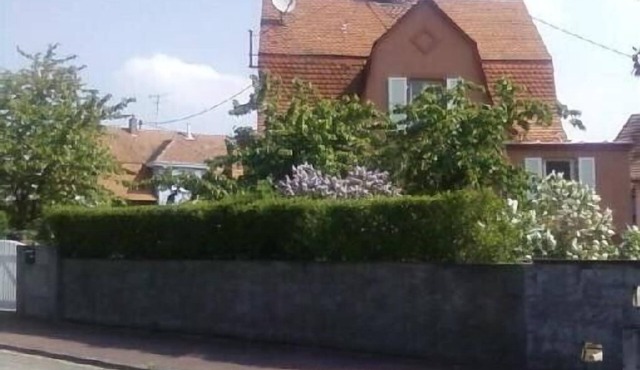 Cottage/garden 6 people, pet allowed, between Colmar-Mulhouse-Thann, Rhin-Vignoble