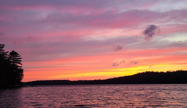 Cottage getaway on beautiful clean Anstruther Lake