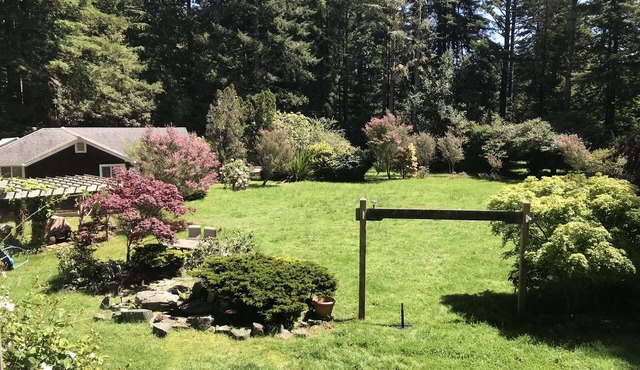 Cottage Hideaway in the Redwoods—Less Than One Mile from the Ocean
