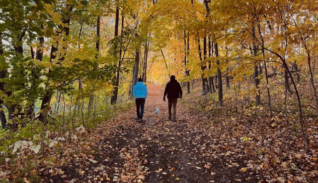 Cottage I | Escape to the Tranquil Beauty at Spitzer Lake ! | Legacy Lakeside Resort