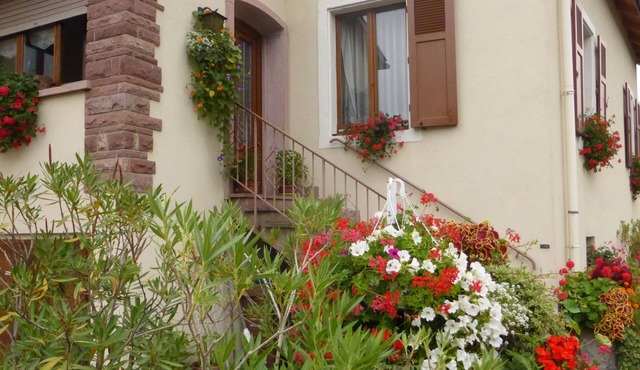 Cottage in a large house in the center of Colmar with garden and free parking