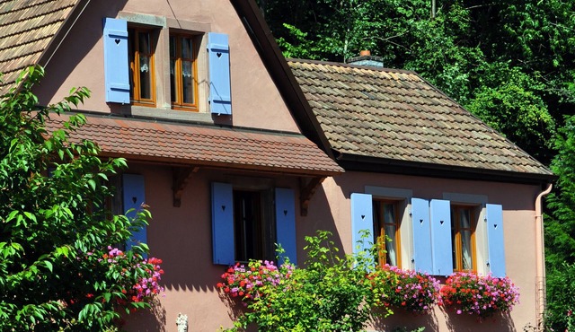 Cottage in a quiet and green ski trails near hiking