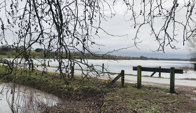 Cottage in Ardennes Lake of Bairon- Swimming - Countryside-Hiking-fishing