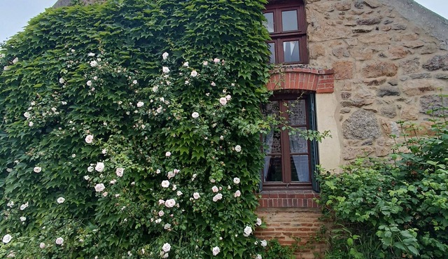 Cottage in Burgundy - quiet yet central