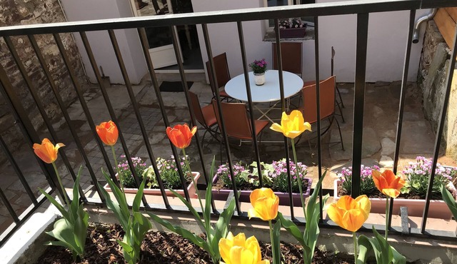 cottage in charming Alsatian village on the wine route