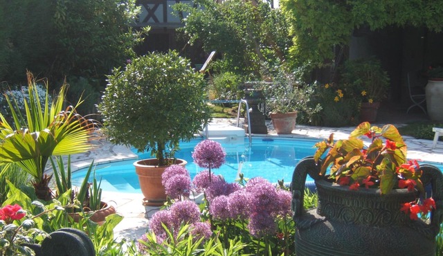 Cottage in charming house in the heart of Alsace Sundhouse a garden and swimming pool