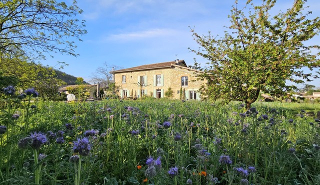 Cottage in the countryside