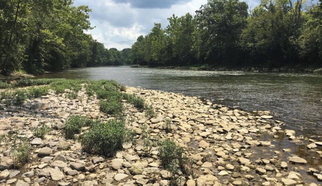 Cottage in Loveland w/River access & bike trail!