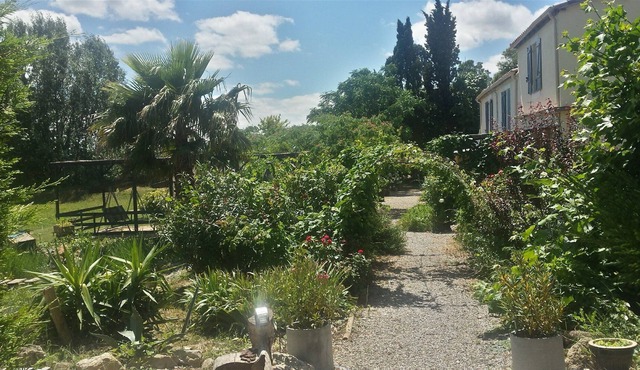 cottage in old vineyard