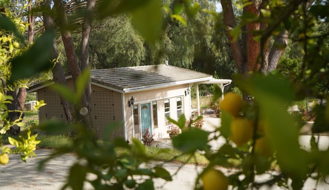 Cottage in Organic Lemon Orchard - Southern California FarmStay - Pet-friendly!