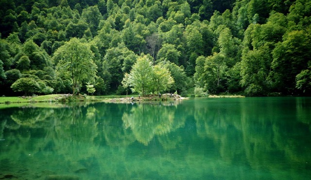 Cottage in the heart of the Ariège Pyrenees in the valley of Bethmale.