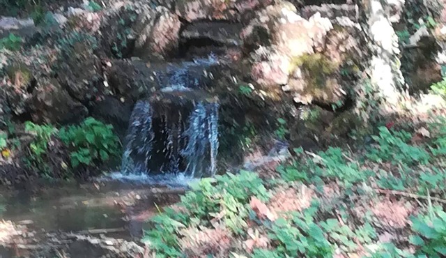 Cottage in the 15th century castle