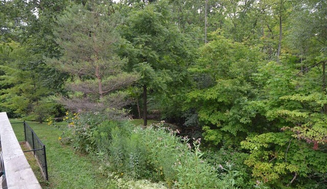 Cottage in the city, 4 acres with walking trails