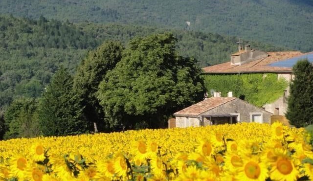 Cottage in the countryside in the heart of the Luberon