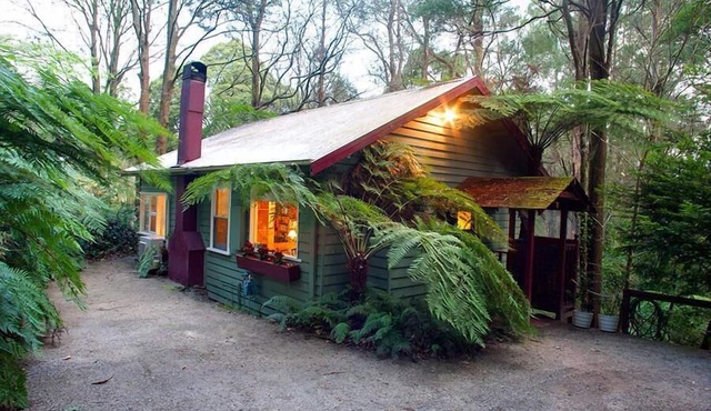 Cottage In The Forest - Relax in your King size bed looking out onto the forest, curl up on the lounge with open wood fire.
