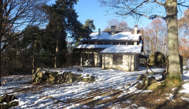 Cottage in the middle of the forest