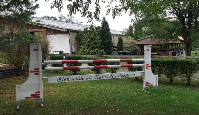 Cottage in the heart of an Alsatian equestrian center