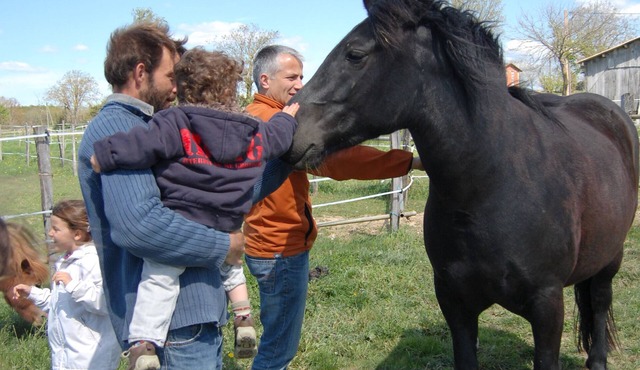 cottage in the middle of nature