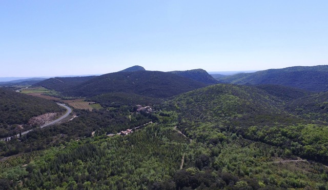 Cottage in the middle of trees 5 km from Lake Salagou