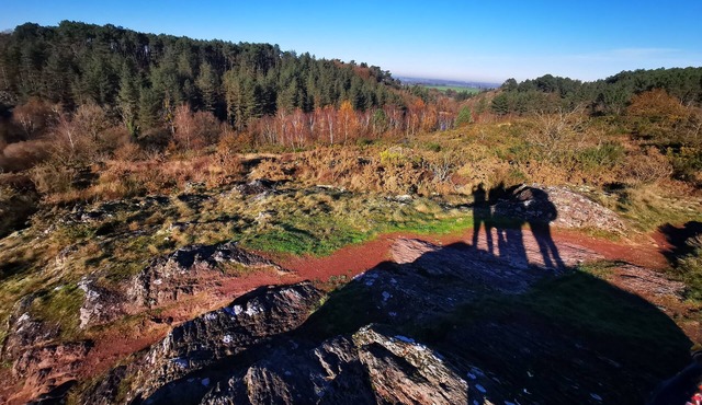 Cottage in the mill in Broceliande