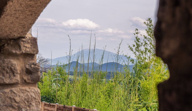 Cottage in the vineyard with view of Mont Ventoux