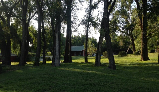 Cottage In The Woods