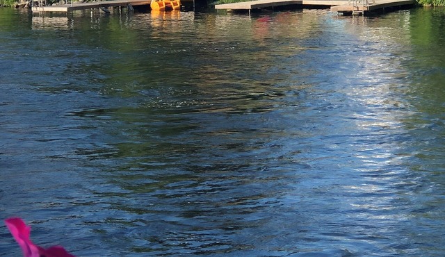 Cottage Kawartha Lakes on Balsam lake 4 Bed Rooms