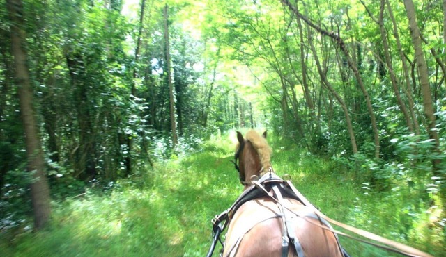 Cottage La Petite Grange 2/4 people