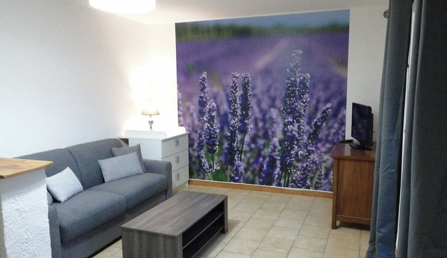 Cottage LAVANDE on french vacation farm in Provence