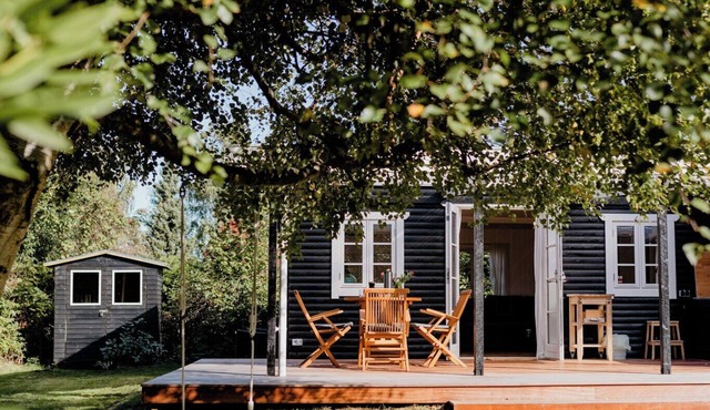 Cottage life in intimate wooden cabin