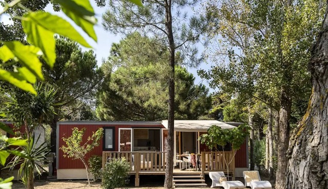 Cottage Mézenc 4 rooms 6 persons Air-conditioned*