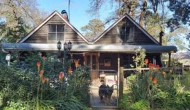 Cottage, nicely tucked away yet close to everything.