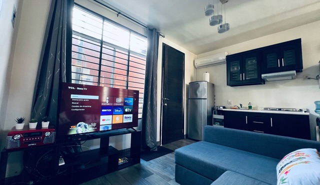 Cottage Obregon in downtown - Zona Centro