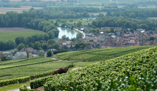 Cottage of 110m2 for 6 pers. in the heart of Champagne, near Epernay