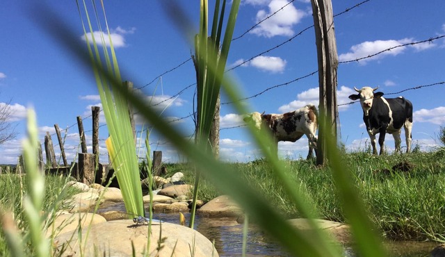 Cottage of the waterfall at the Domaine du Moulin de Jeanne