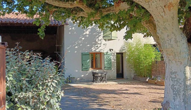 Cottage of two plane trees between Alpilles and Luberon