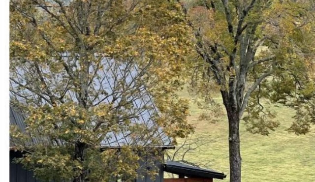 Cottage offering Luxury & Privacy on 80 acres with stocked pond.