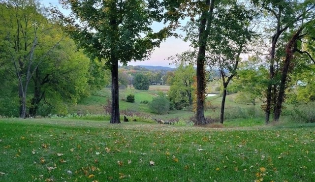 Cottage on 6-Acres w/Incredible Views